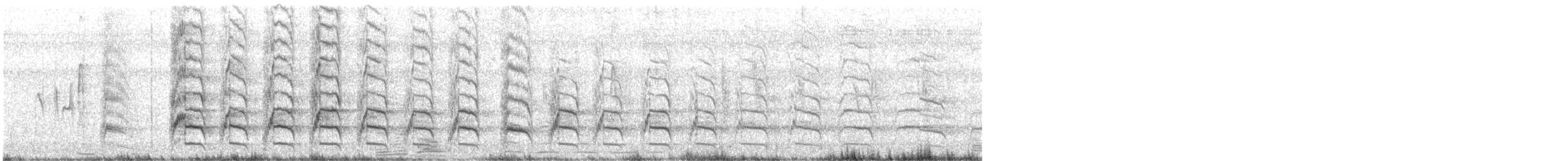 Brown Jay - ML645904970