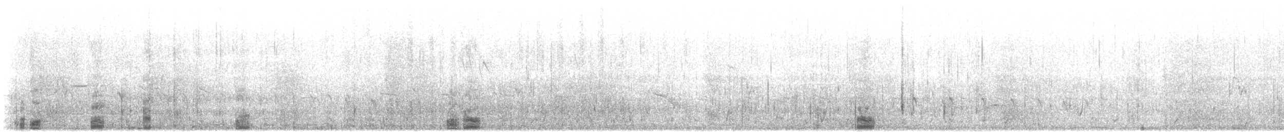 Neotropic Cormorant - ML645905836