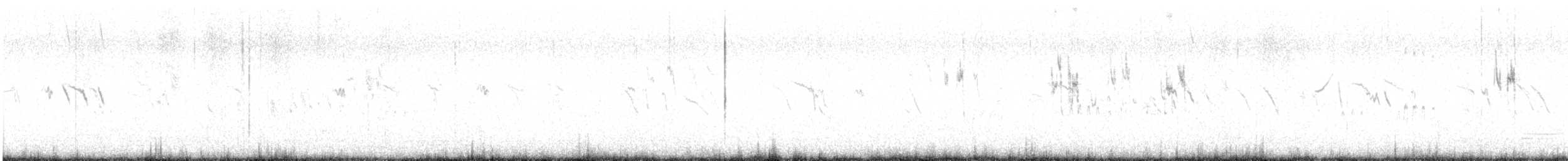 Snow Bunting - ML645906905