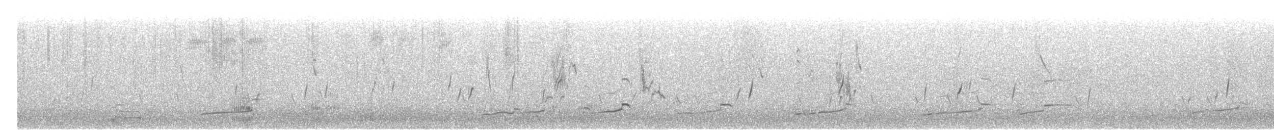 Zarapito Real - ML645907084