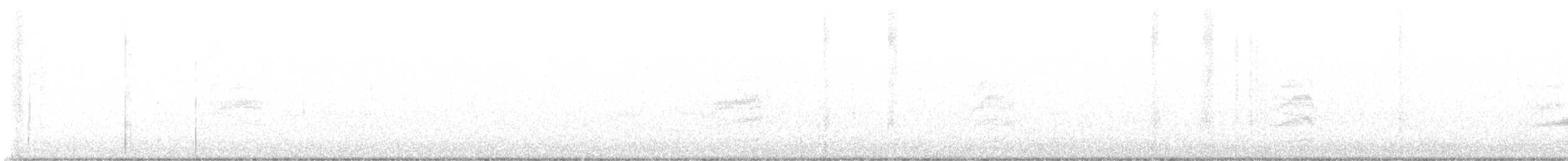 Spotted Towhee - ML645907417