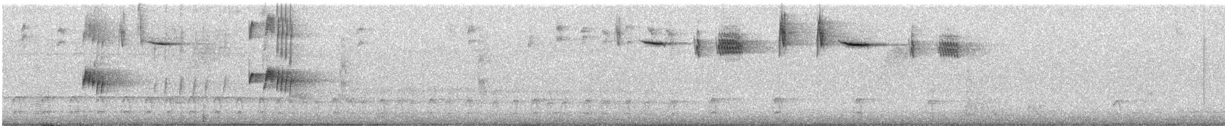 Puerto Rican Spindalis - ML645907451