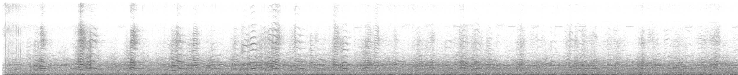 小加拿大雁 - ML645908162