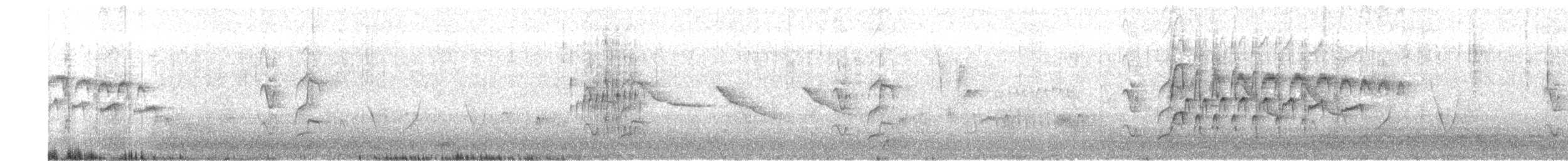 Southern Beardless-Tyrannulet - ML645908511