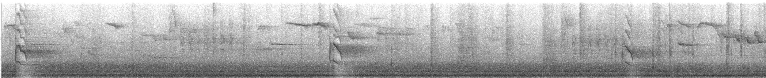 紅領綠鸚鵡 - ML645908567