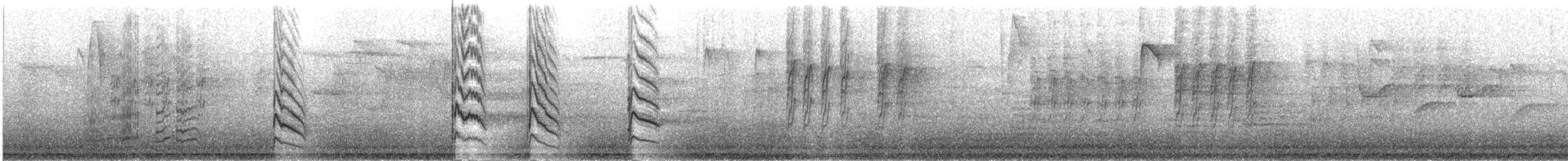 紅領綠鸚鵡 - ML645908568