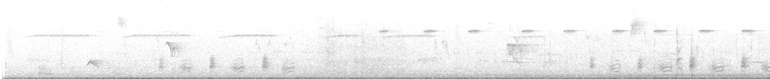 Jet Antbird - ML645908657