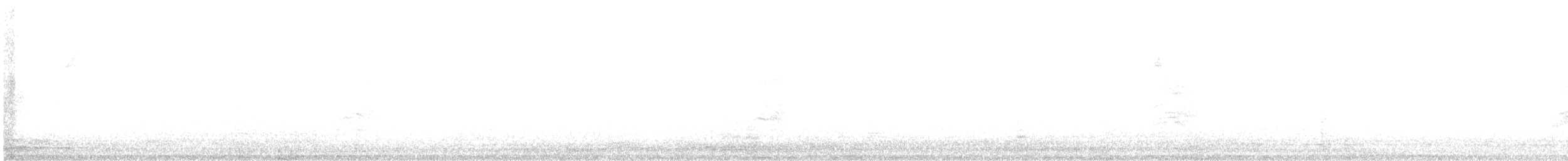 new world sparrow sp. - ML645908873