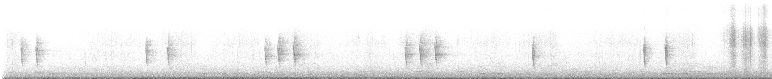 Hermit Thrush - ML645908926