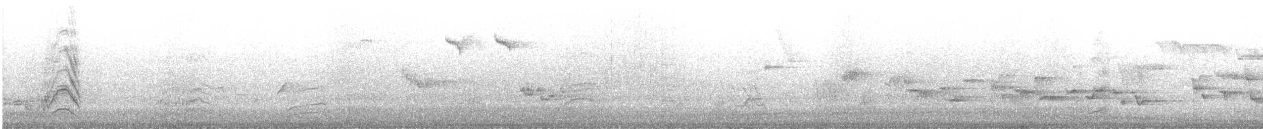 Rose-ringed Parakeet - ML645909231