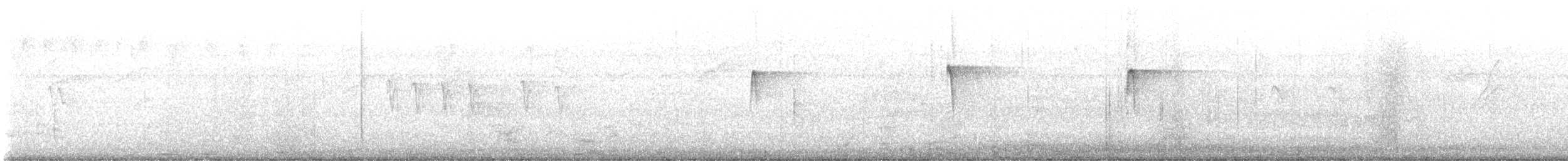 Northern Plain-Xenops - ML645909275