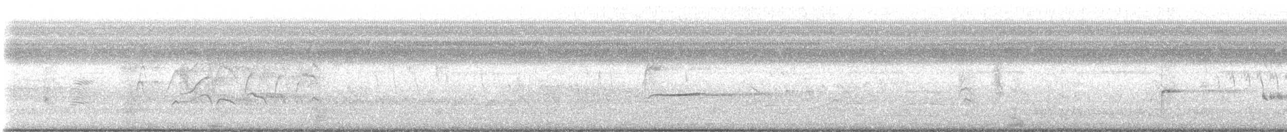 Great-tailed Grackle - ML645909404