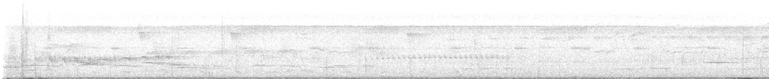 Dusky Antbird - ML645909517