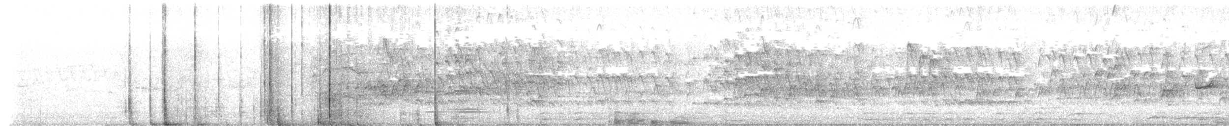 Black-bellied Whistling-Duck - ML645909984