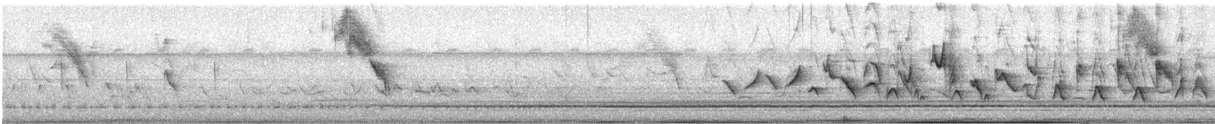 Gray Seedeater - ML645910039