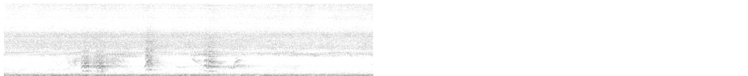 Küçük Korella Kakadusu - ML645911326