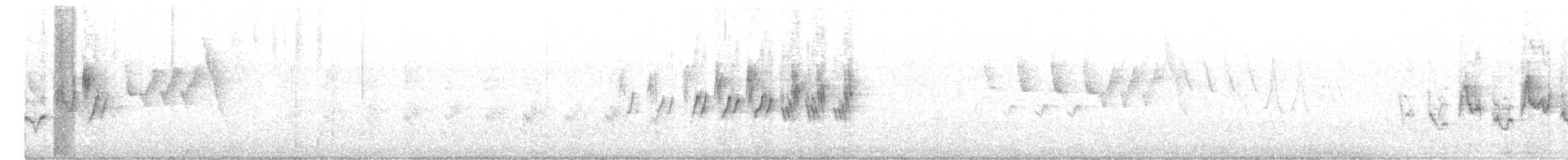 Macgillavray Ötleğeni - ML645911327
