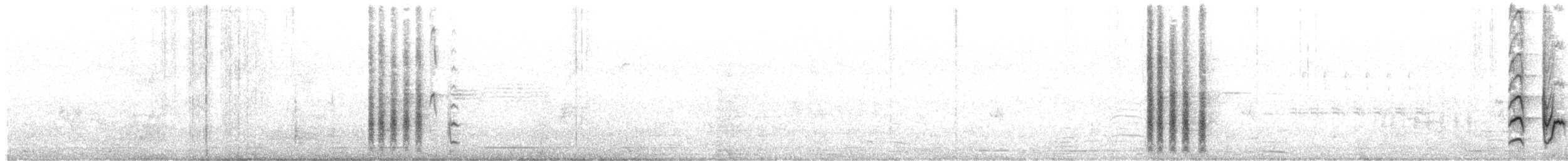 Bullock's Oriole - ML645911654