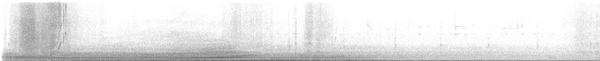 Pacific Wren - ML645912040