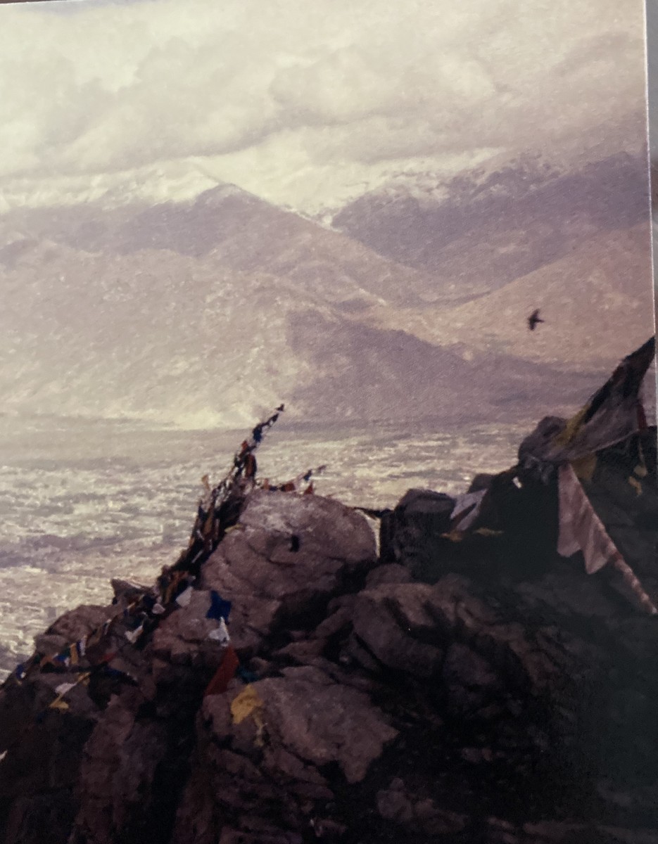 ワタリガラス - ML645913328