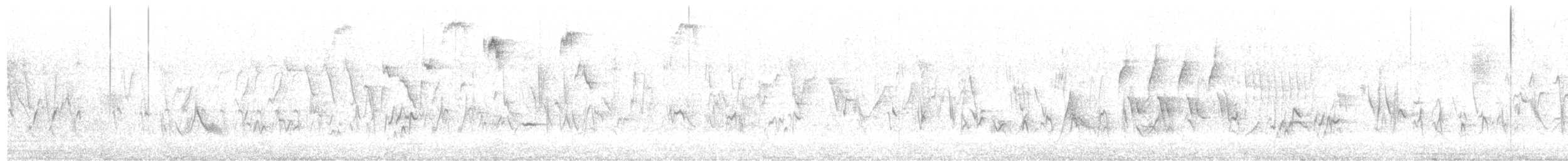 Cassin's Finch - ML645913401