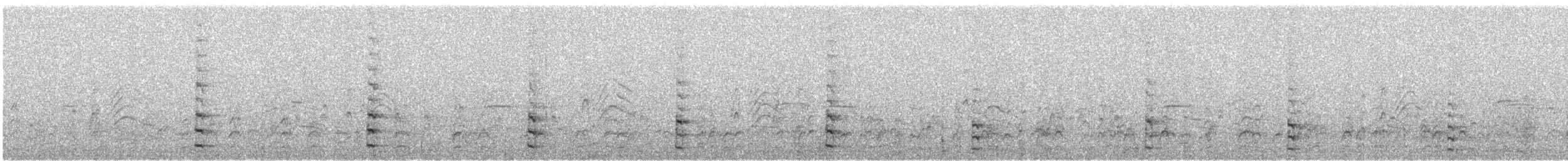 Amerika Sutavuğu - ML645913965