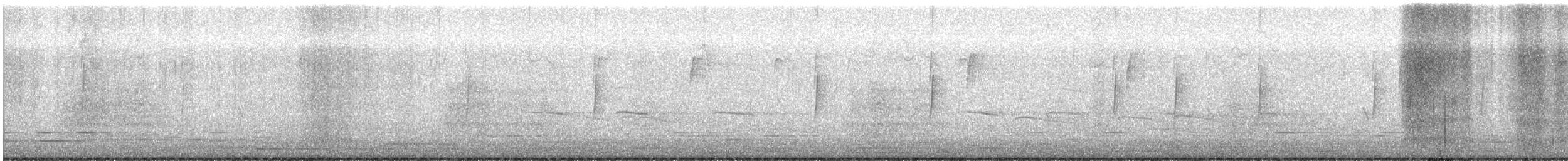 Least Flycatcher - ML645915099