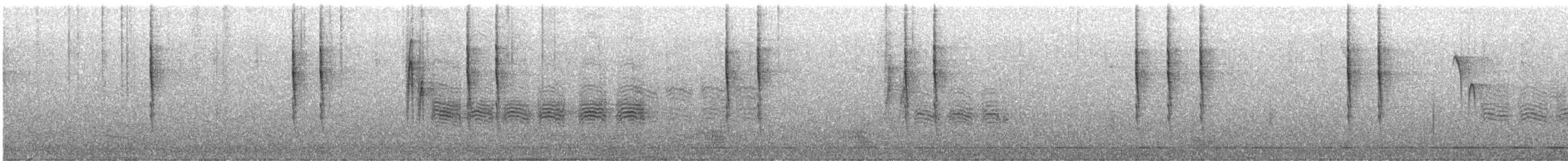 Pacific Wren - ML645915222