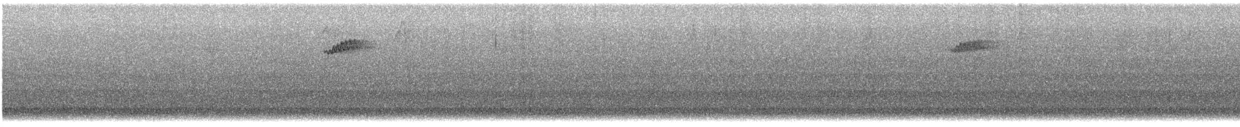 Brown Creeper - ML645915297