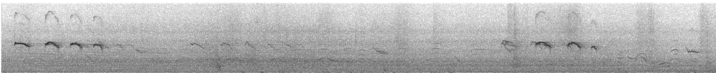 Southern Beardless-Tyrannulet (Peruvian) - ML645915673