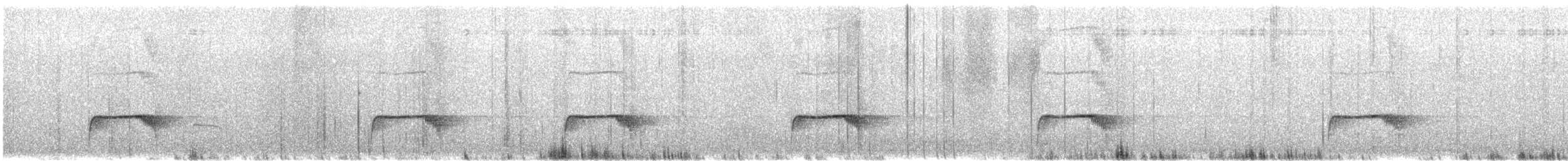 Tschudi's Nightjar - ML645916526