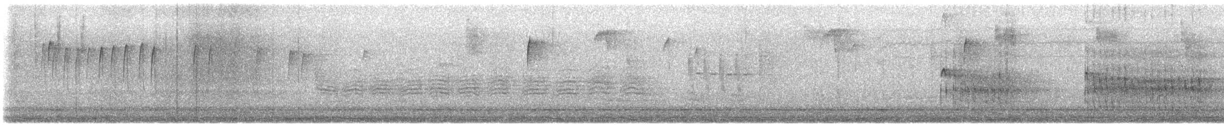 Hairy Woodpecker - ML645916740