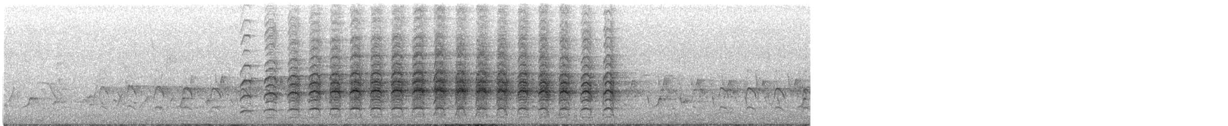 Підсоколик австралійський - ML645917429