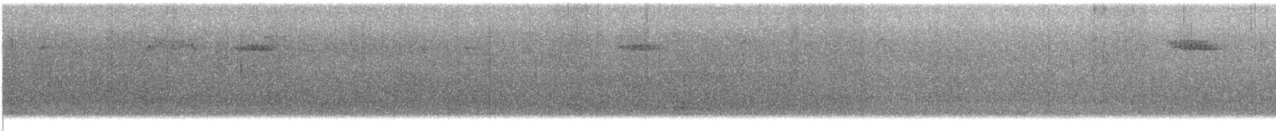 Підкоришник американський - ML645917430