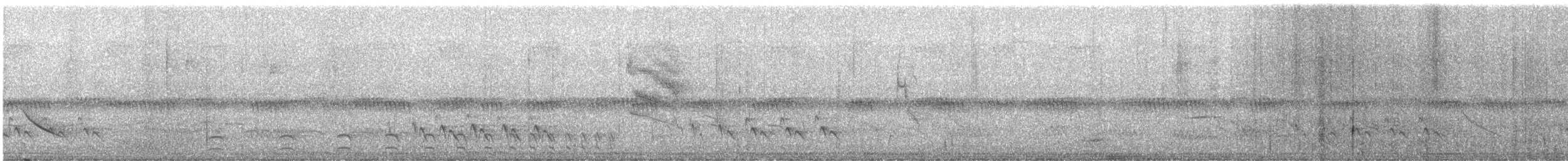 Сорокуш плямистий (підвид leucogaster/huallagae) - ML645917450