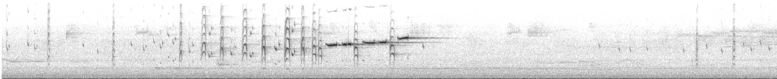 Віялохвістка сиза (підвид alisteri) - ML645918293