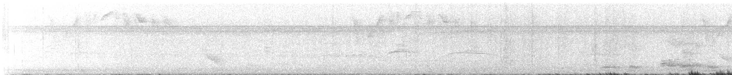 Buff-browed Chachalaca - ML645918897