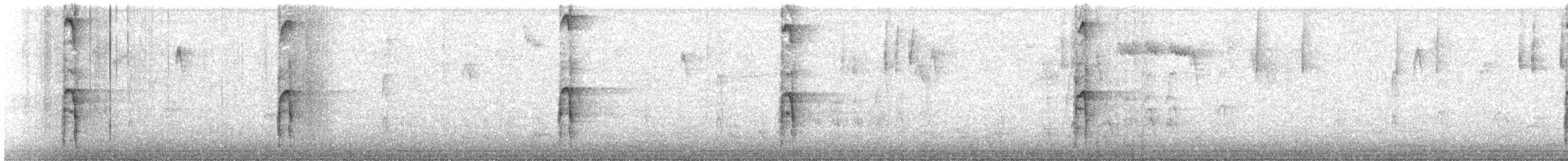 Haarspecht - ML645919874