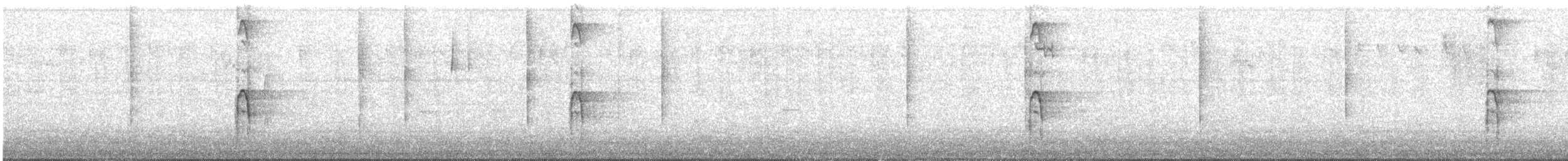 Haarspecht - ML645919879