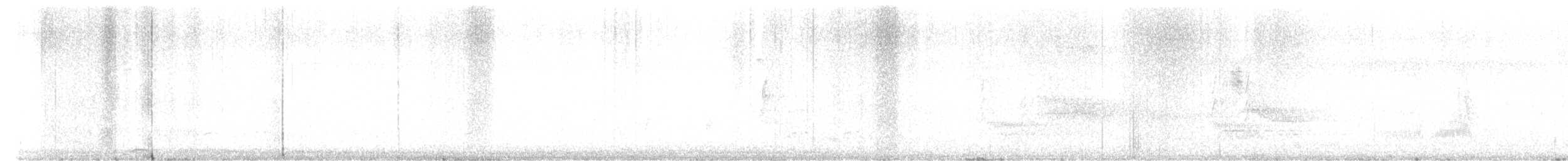 China-Fleckschnabelente - ML645919915