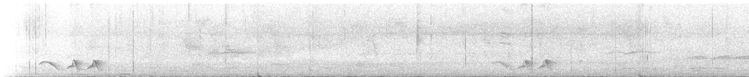 Wangenstreif-Zaunkönig - ML645920334