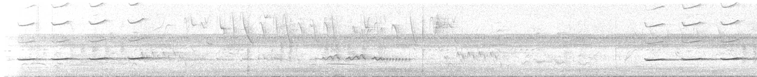 Streifenkuckuck - ML645920585