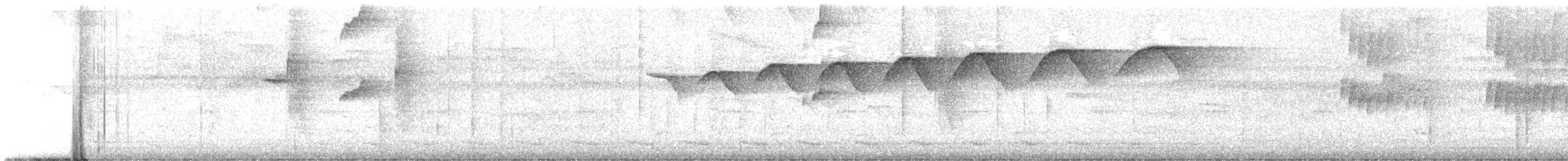 Graubauch-Ameisenschlüpfer - ML645921410