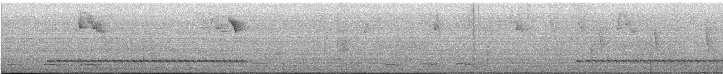 Kastanienameisenpitta - ML645921505