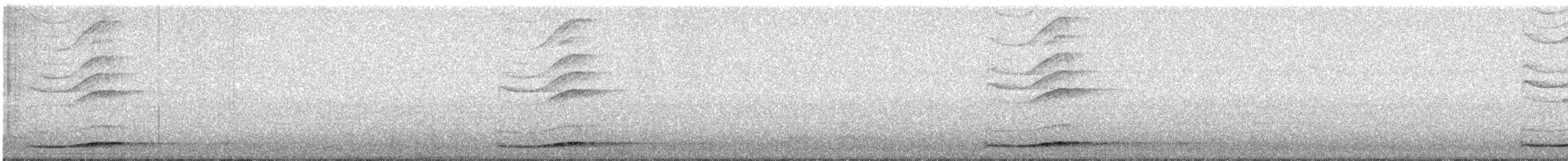 Koel Oriental - ML645921544