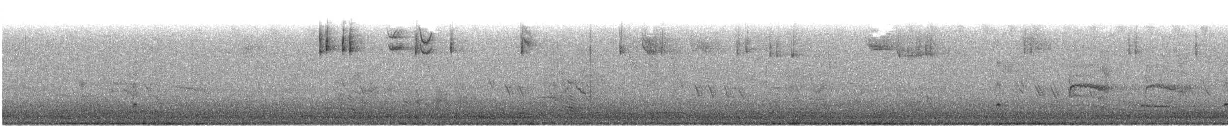 Ash-throated Flycatcher - ML645921841