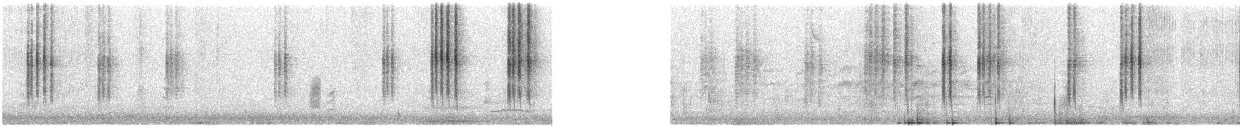 Broad-billed Hummingbird - ML645922513