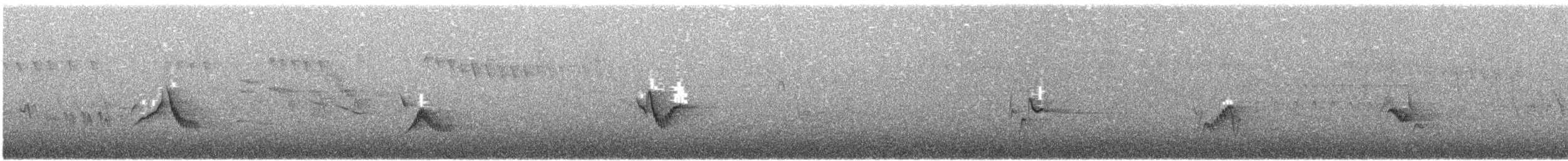 Plumbeous Vireo - ML645922578