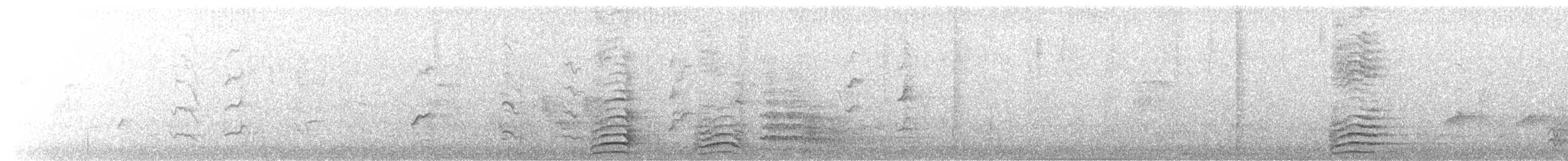 Long-billed Corella - ML645922702