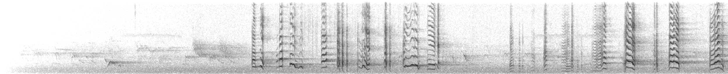 Noisy Friarbird - ML645922722